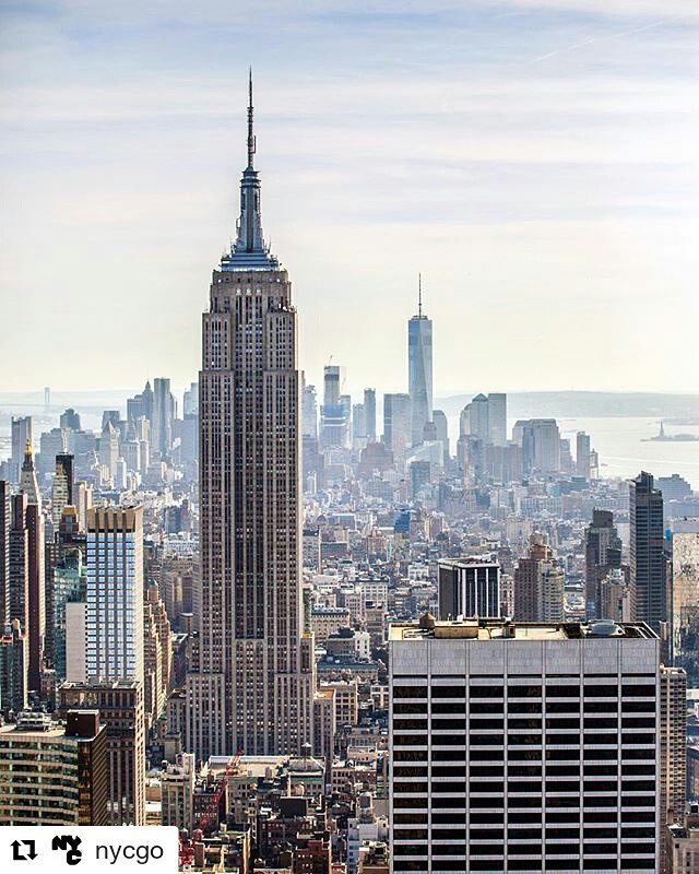 Anna York's The New York City