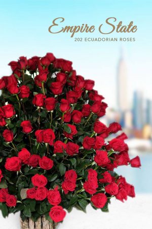 EMPIRE STATE 202 LUXE ROSES
