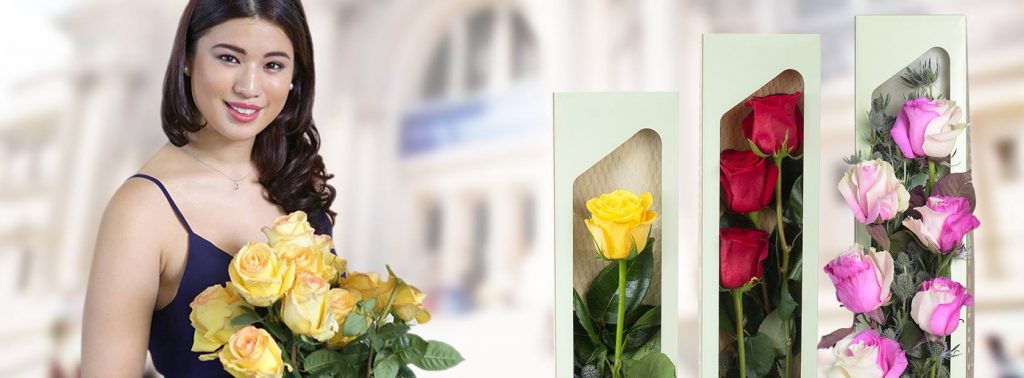 12 QUESTIONS WITH SAIRA - A CHRISTMAS BLOG